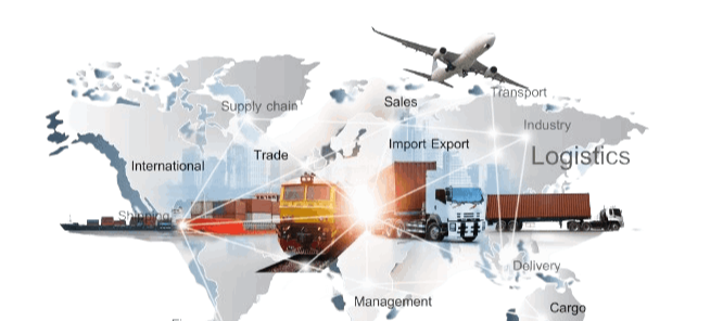 sky excelerate education sector